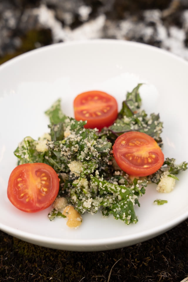 A plated salad of greens and halved cherry tomatoes on a white plate.
